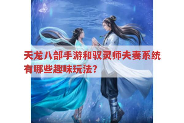 天龙八部手游和驭灵师夫妻系统有哪些趣味玩法？