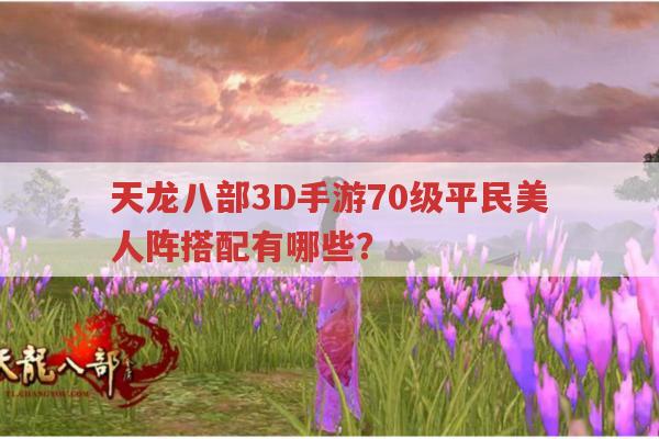 天龙八部3D手游70级平民美人阵搭配有哪些？